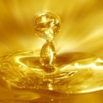 Golden Drops: Secrets Behind the Oils That Make Meals Shine